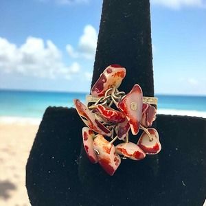 Natural Trochus Shell Beads Shards Adjustable Ring!